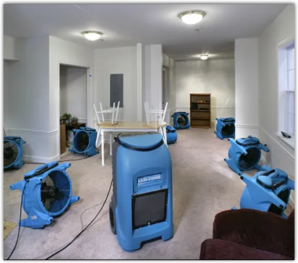Mold Remediation & Removal in Carol Stream, IL