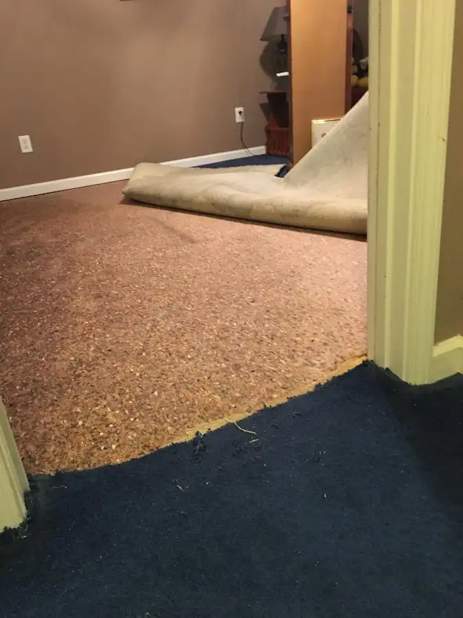 Carpet pad removal revealing water damage during Drying & Dehumidification in Carol Stream