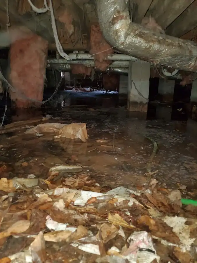 Crawl space flood assessment for Leak Detection & Repair in Carol Stream