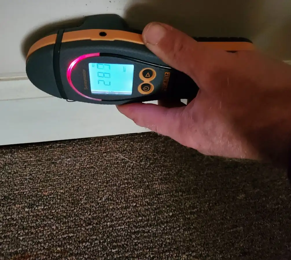 Moisture detection at baseboard during Mold Inspection & Testing in Carol Stream